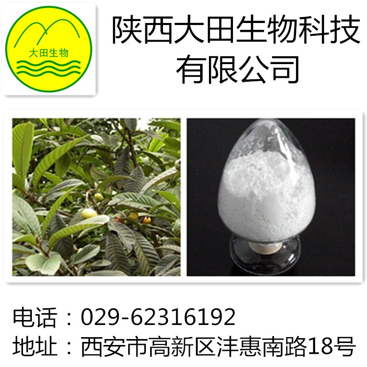 优质熊果酸提取物 抗溃疡及降低血脂 供应熊果酸提取物98%图片