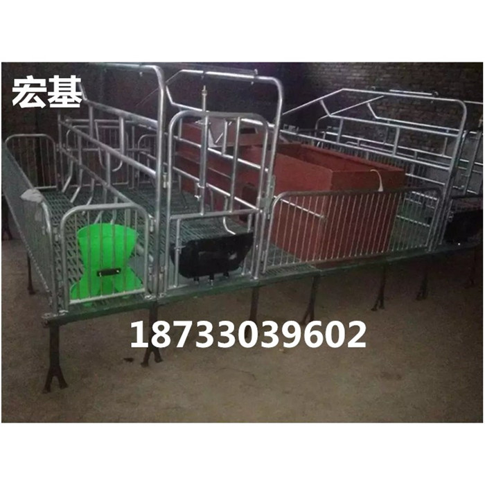 母豬產(chǎn)床圖片/母豬產(chǎn)床樣板圖 (2)