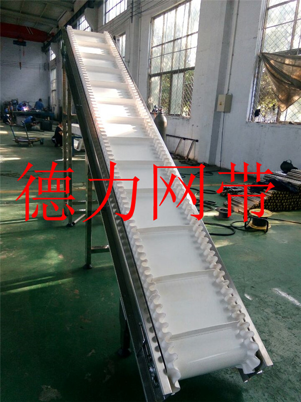 裙邊檔條流水線輸送機(jī)爬坡機(jī)圖片/裙邊檔條流水線輸送機(jī)爬坡機(jī)樣板圖 (3)