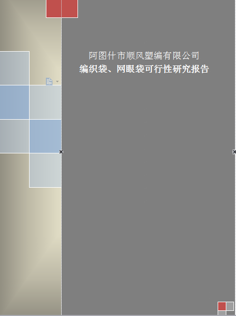 編織袋、網(wǎng)眼袋可行性研究報告