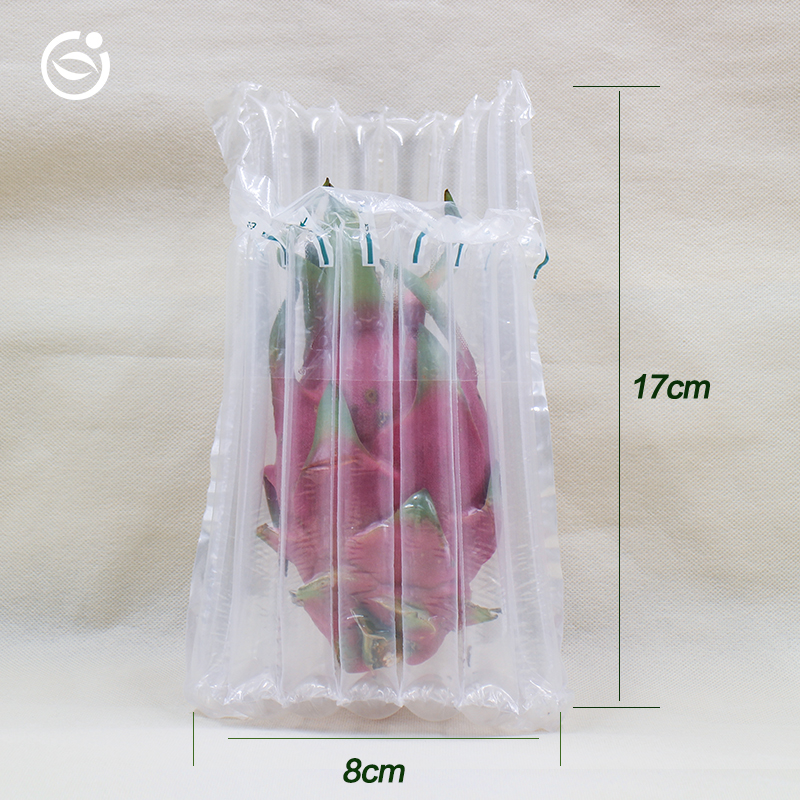 火龍果圖片/火龍果樣板圖 (2)