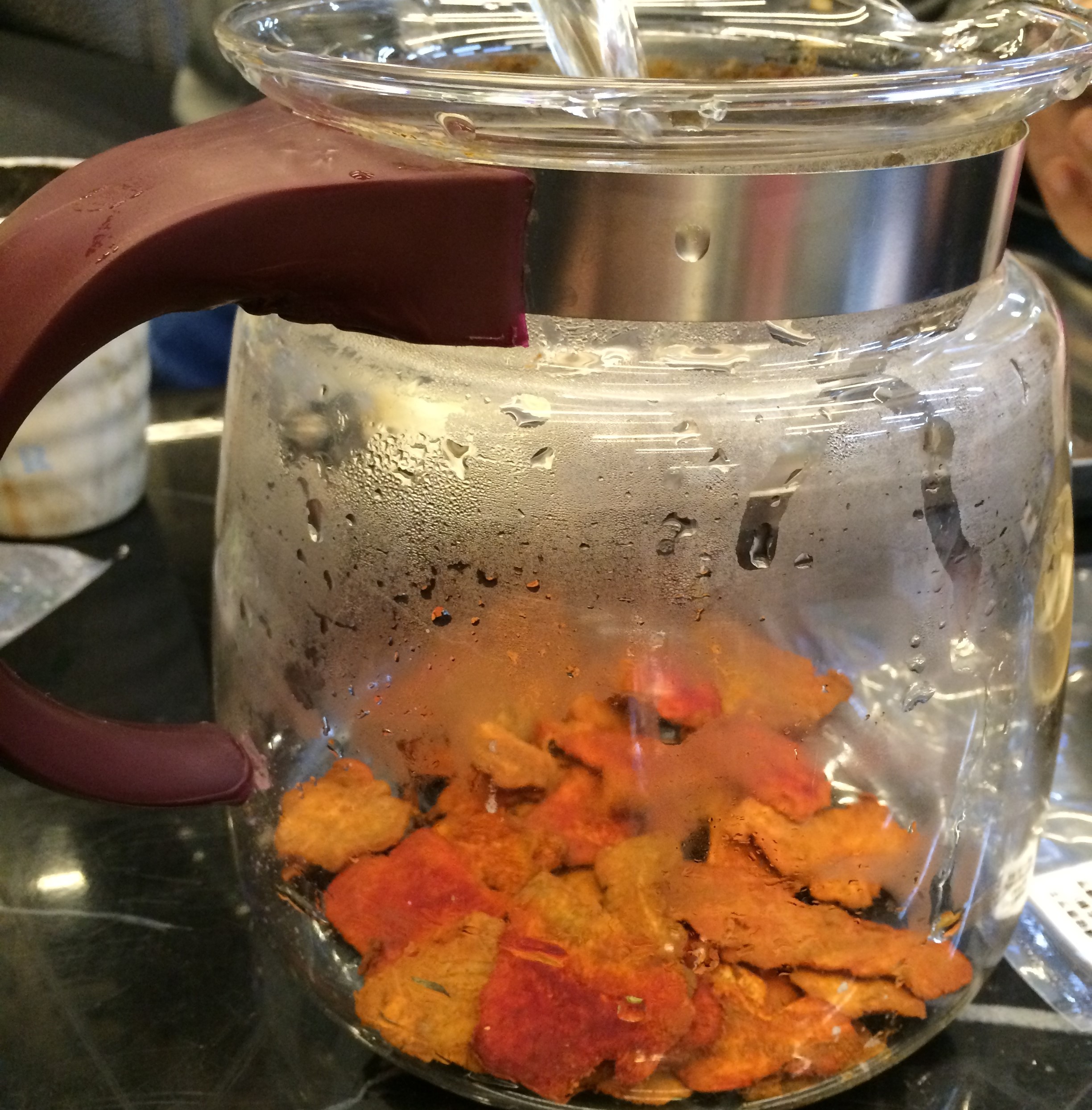 牛樟芝圖片/牛樟芝樣板圖 (4)