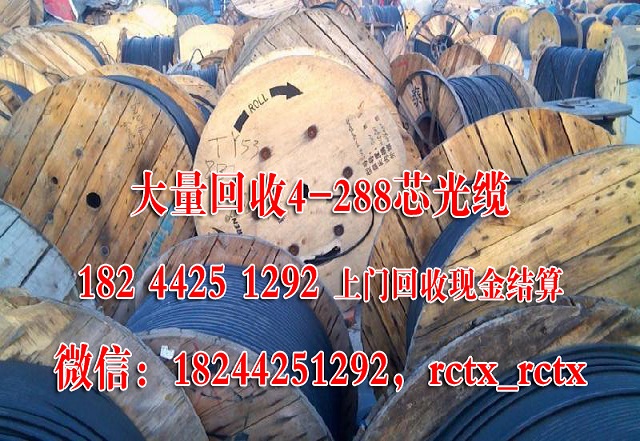 GYTS光纜圖片/GYTS光纜樣板圖 (1)