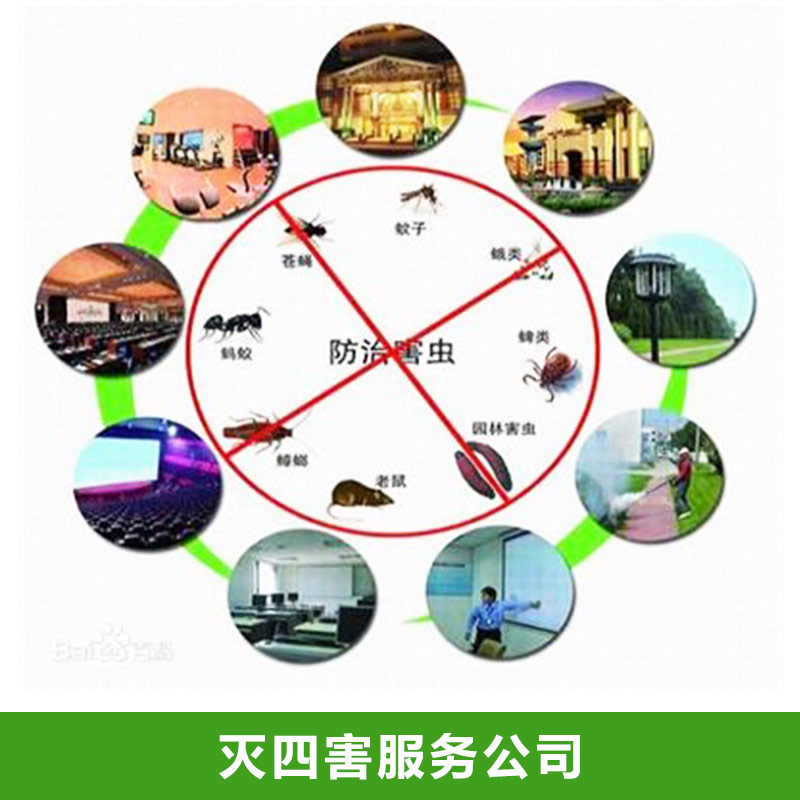 滅四害服務(wù)公司價(jià)格圖片/滅四害服務(wù)公司價(jià)格樣板圖 (1)