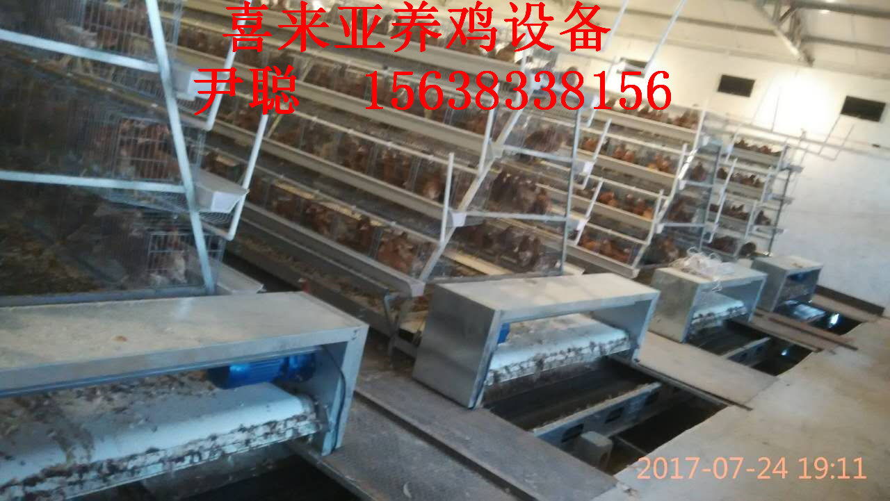 傳送帶清糞機圖片/傳送帶清糞機樣板圖 (2)