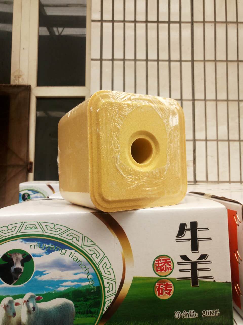 牛羊舔磚圖片/牛羊舔磚樣板圖 (4)