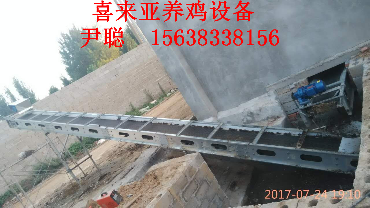 傳送帶清糞機圖片/傳送帶清糞機樣板圖 (3)