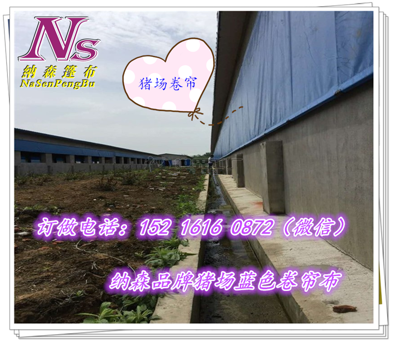 牛場卷簾篷布圖片/牛場卷簾篷布樣板圖 (2)