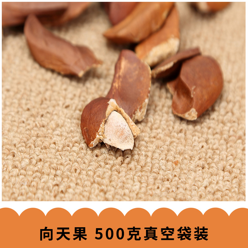 向天果圖片/向天果樣板圖 (3)
