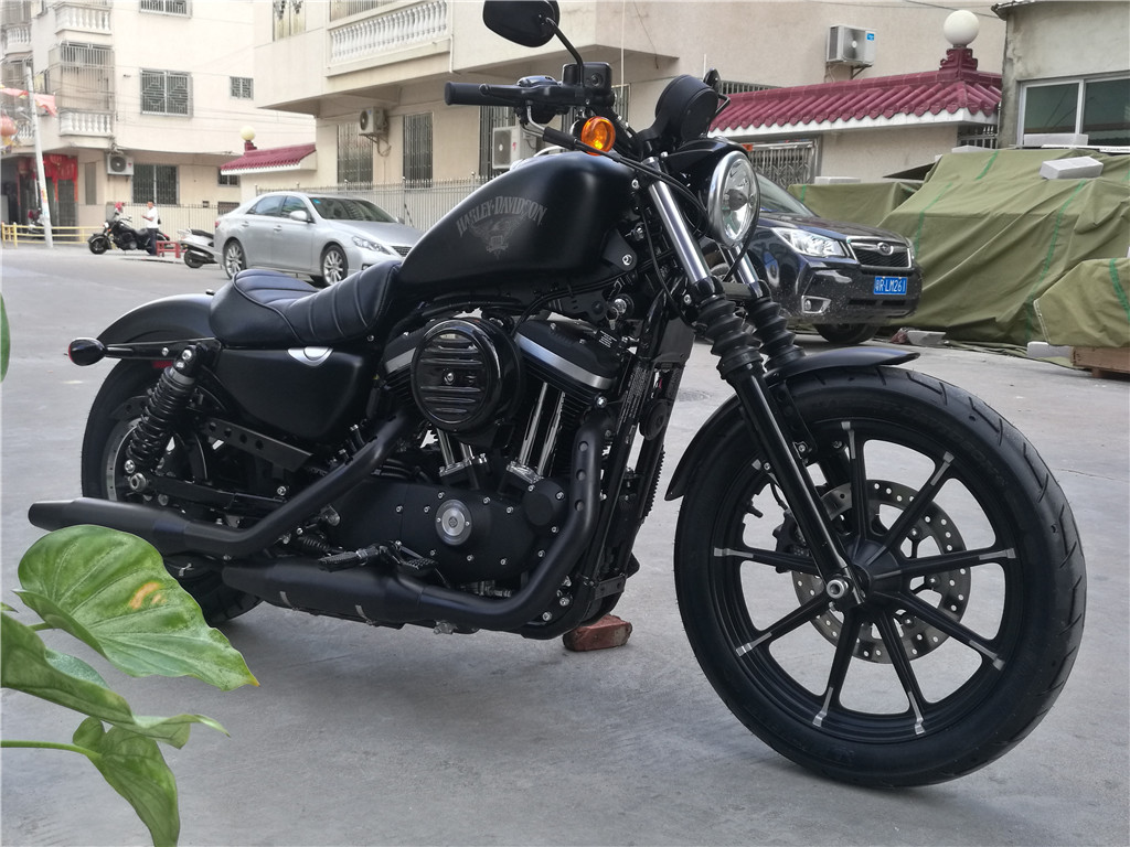 哈雷883N圖片/哈雷883N樣板圖 (1)