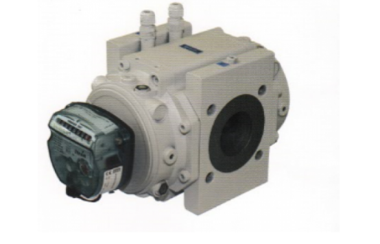 氣體腰輪流量計圖片/氣體腰輪流量計樣板圖 (2)