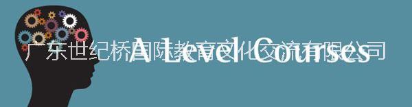 alevel培訓(xùn)，世紀(jì)橋alevel輔導(dǎo)，a-level課程在線授課 alevel課程輔導(dǎo)