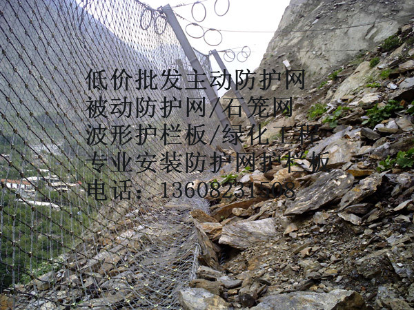 被動(dòng)防護(hù)網(wǎng)圖片/被動(dòng)防護(hù)網(wǎng)樣板圖 (2)