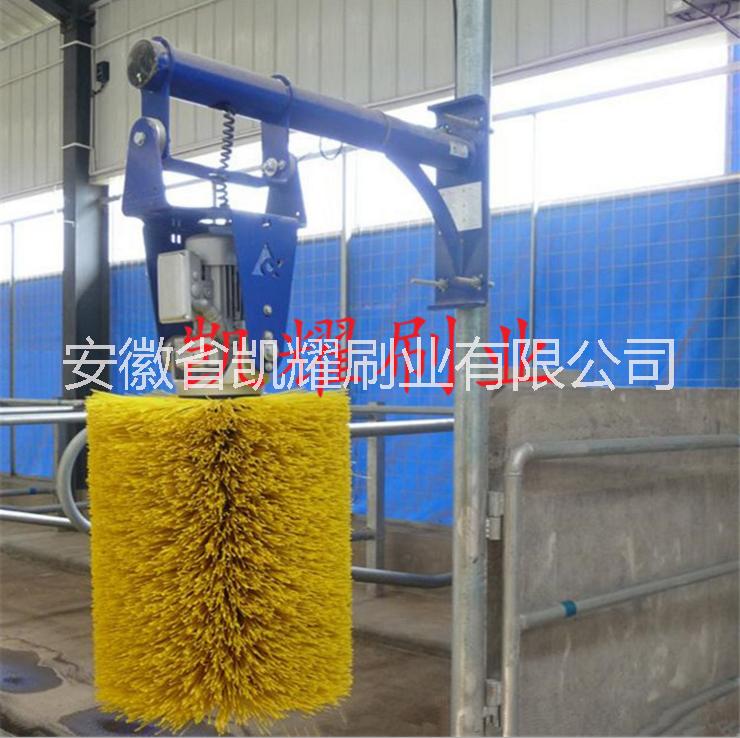 牛體刷圖片/牛體刷樣板圖 (3)