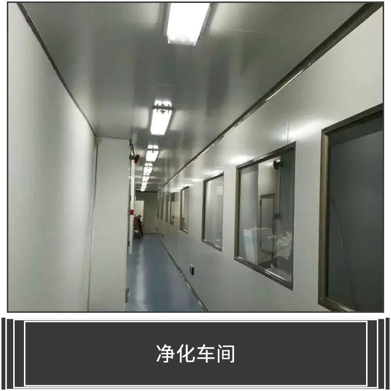 凈化車間 凈化工程 GMP凈化車間 恒溫恒濕潔凈實(shí)驗(yàn)室 潔凈廠房裝修