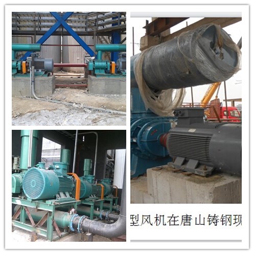 礦羅茨風(fēng)機(jī)圖片/礦羅茨風(fēng)機(jī)樣板圖 (4)