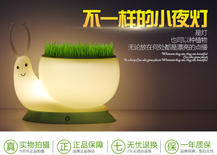 蝸牛植物小夜燈