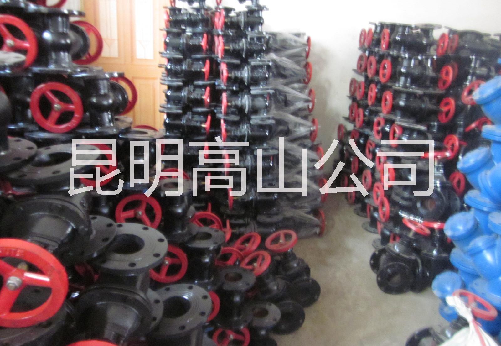 閘閥圖片/閘閥樣板圖 (4)