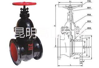 閘閥圖片/閘閥樣板圖 (1)