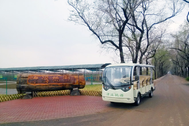 電動觀光車價格圖片