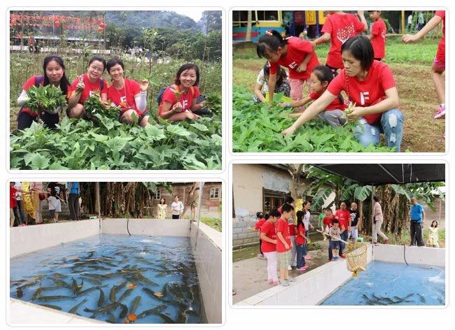 深圳龍崗圖片/深圳龍崗樣板圖 (2)