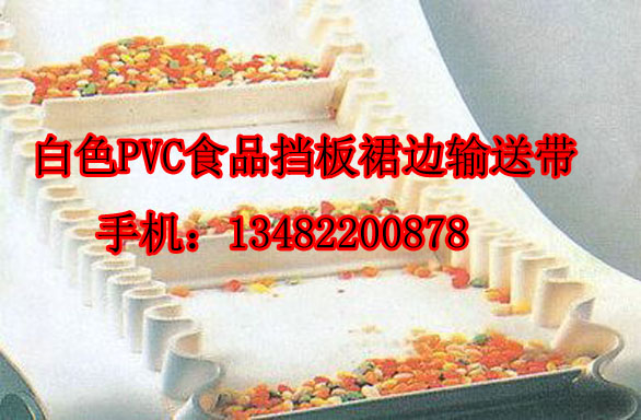 擋板裙邊輸送帶圖片/擋板裙邊輸送帶樣板圖 (3)