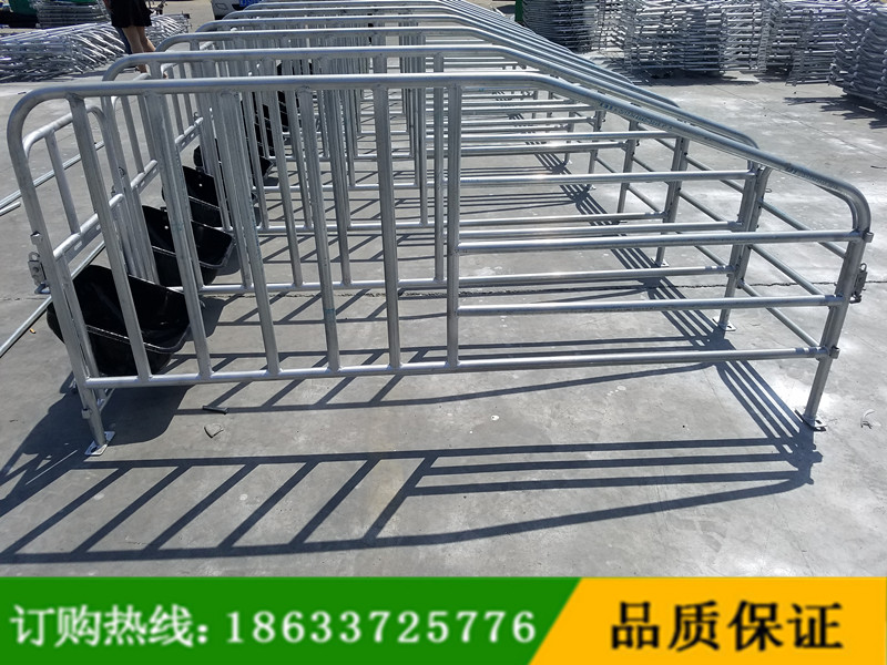 養(yǎng)豬設(shè)備母豬定位欄圖片