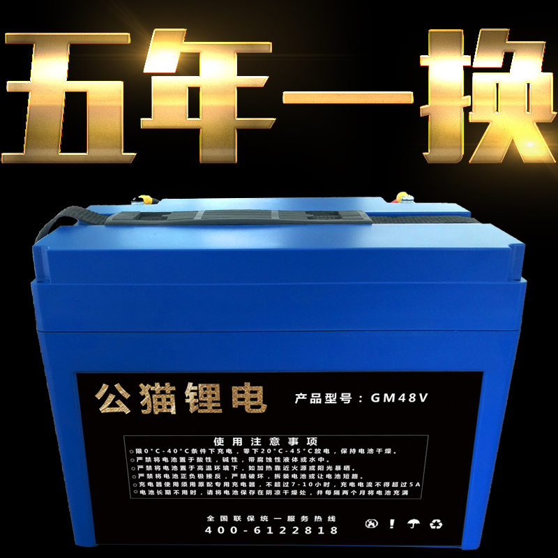 鋰電池電瓶車圖片/鋰電池電瓶車樣板圖 (2)