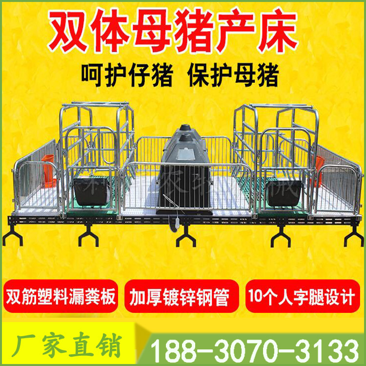 母豬產(chǎn)床廠家供應(yīng)養(yǎng)豬設(shè)備 豬舍圖片