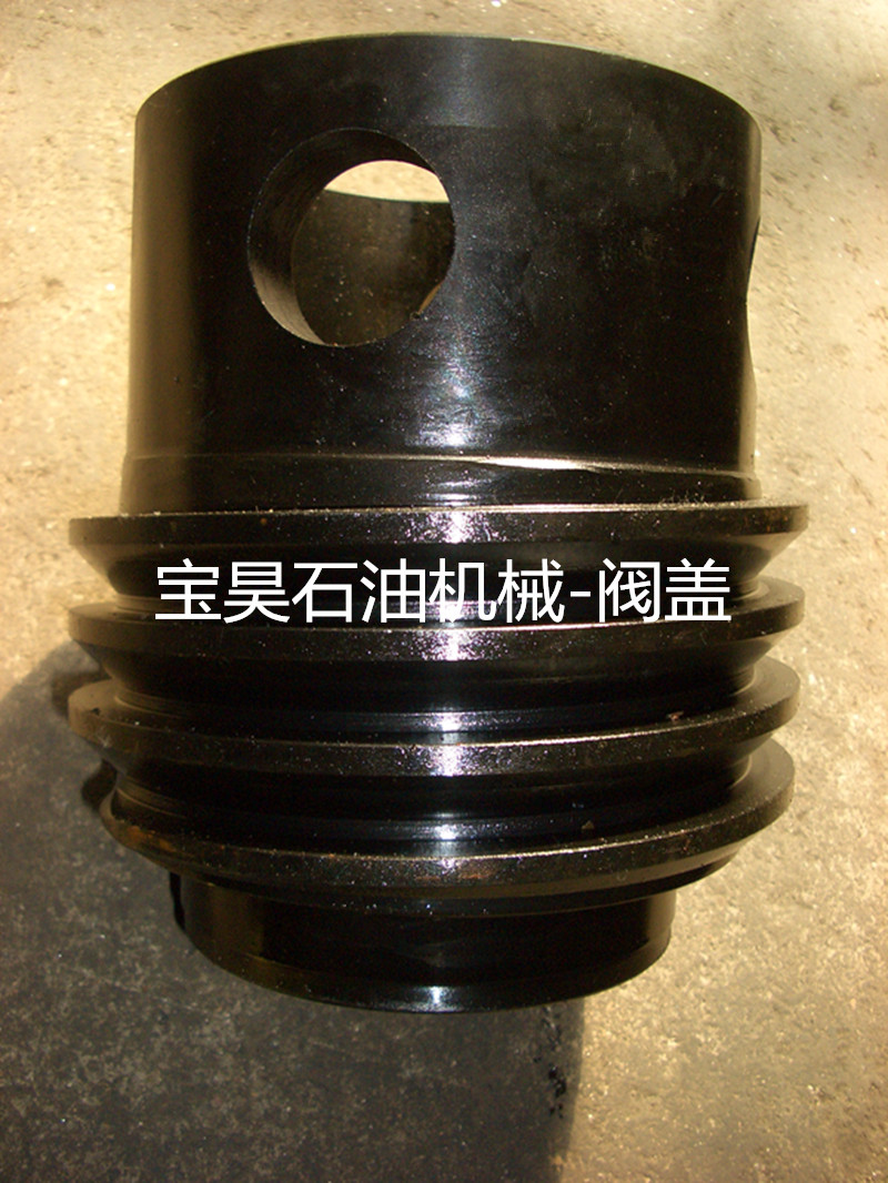 閥蓋圖片/閥蓋樣板圖 (2)