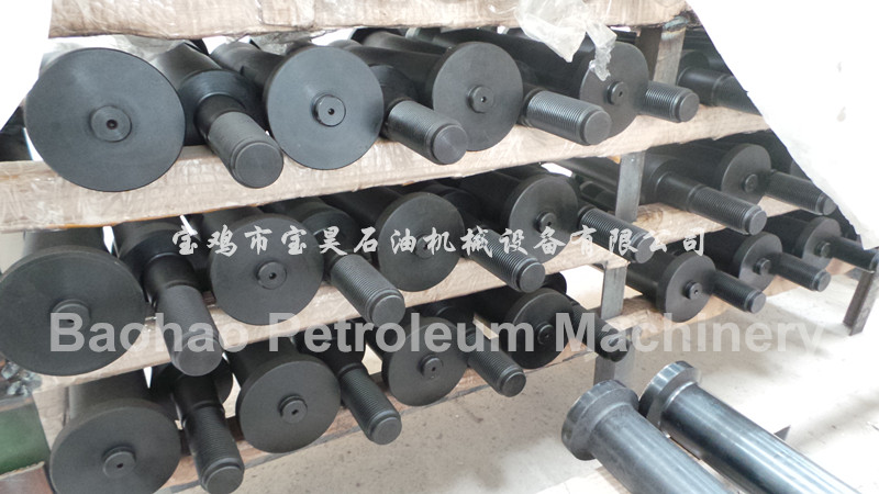 活塞桿圖片/活塞桿樣板圖 (2)