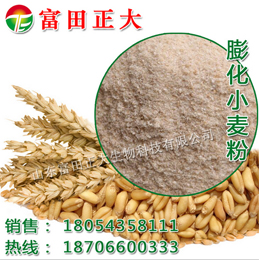 膨化小麥粉圖片/膨化小麥粉樣板圖 (1)