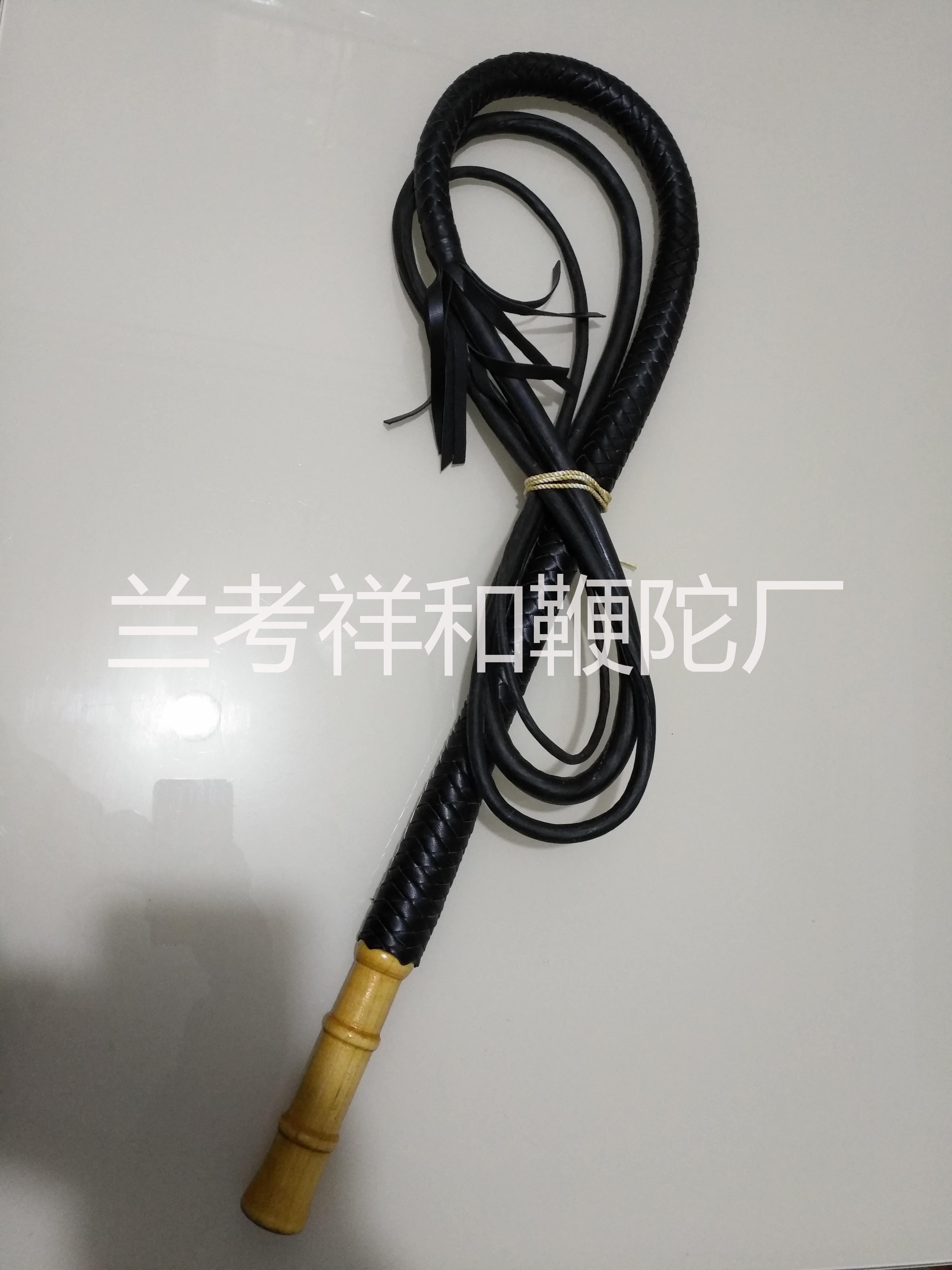 健身鞭圖片/健身鞭樣板圖 (3)