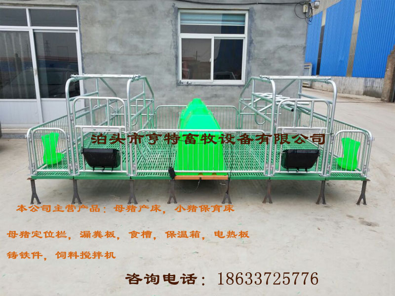 甘肅養(yǎng)豬設備母豬連體產床圖片