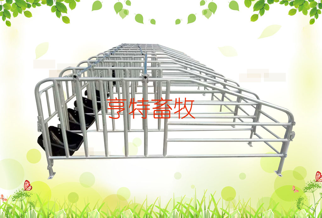 畜牧業(yè)母豬定位欄帶鋼板食槽圖片