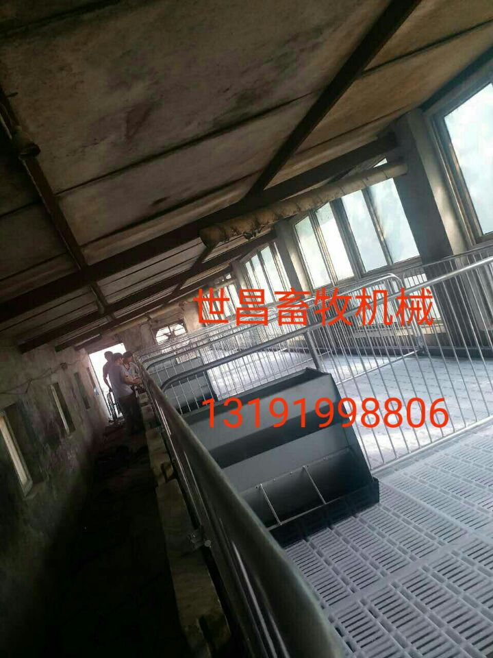 養(yǎng)豬機(jī)械設(shè)備保育欄 河北優(yōu)質(zhì)小豬保育欄外形尺寸