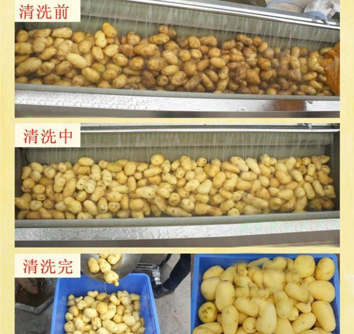 毛輥豬頭豬蹄清洗機(jī) 毛刷清洗圖片/毛輥豬頭豬蹄清洗機(jī) 毛刷清洗樣板圖 (3)