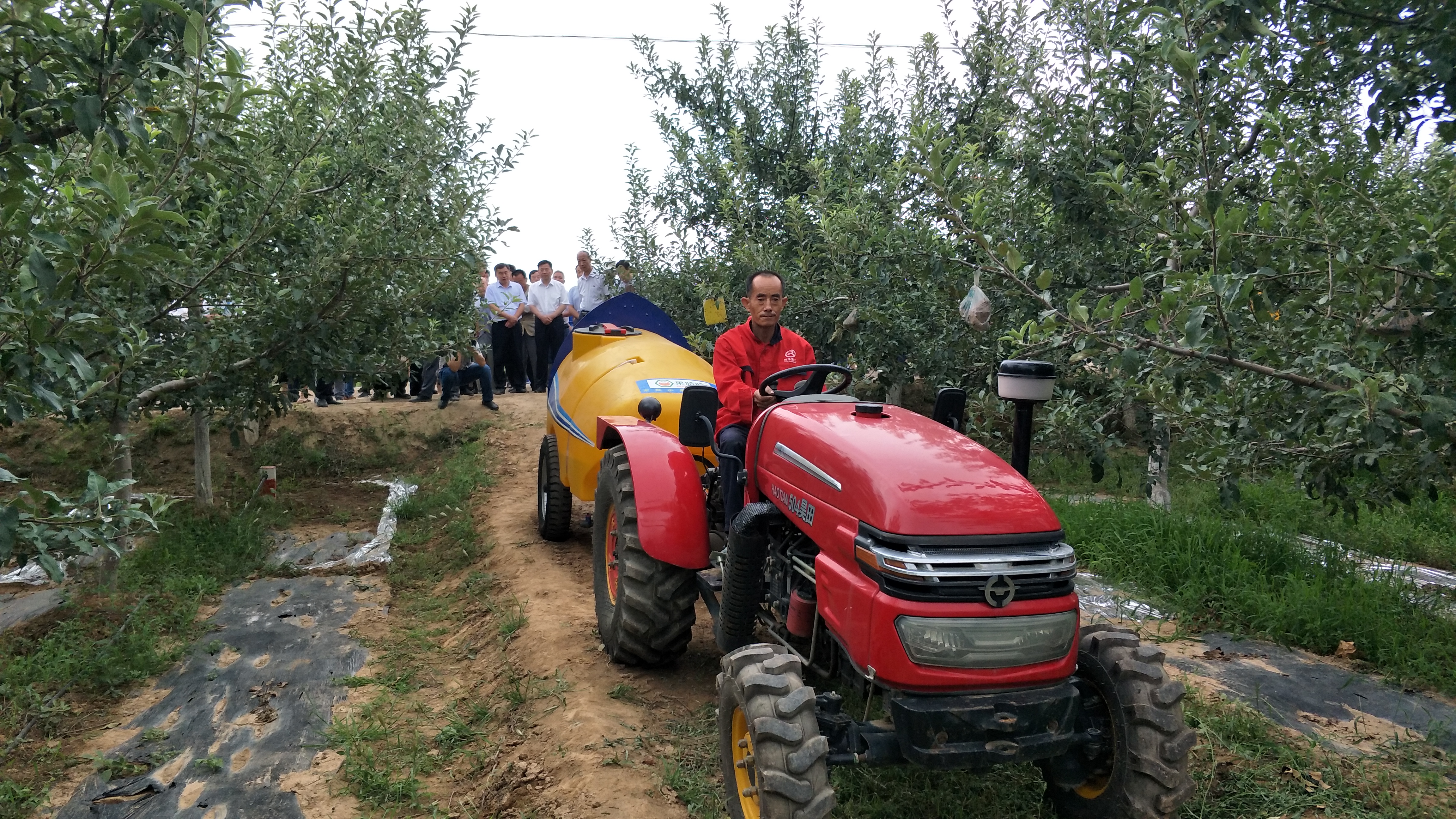 果樹打藥機(jī)圖片/果樹打藥機(jī)樣板圖 (3)