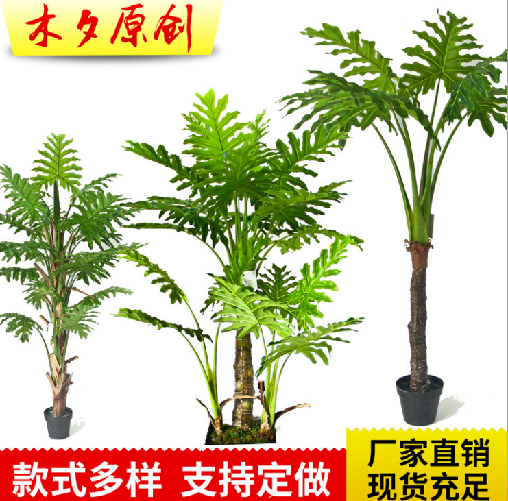 仿真綠芋植物圖片/仿真綠芋植物樣板圖 (1)