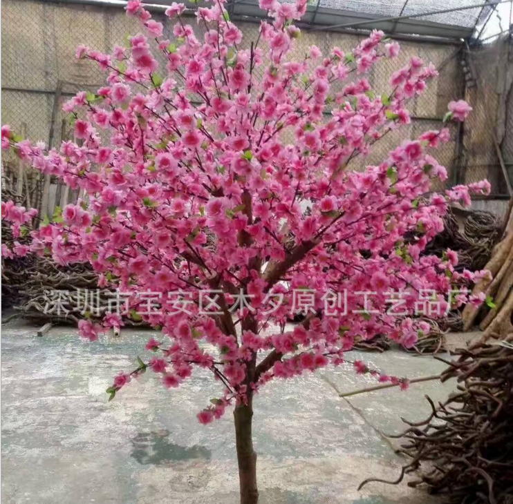 桃花樹圖片/桃花樹樣板圖 (4)