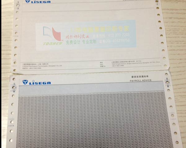 保密薪資條圖片/保密薪資條樣板圖 (2)