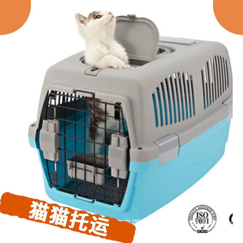 貓貓托運圖片/貓貓托運樣板圖 (4)