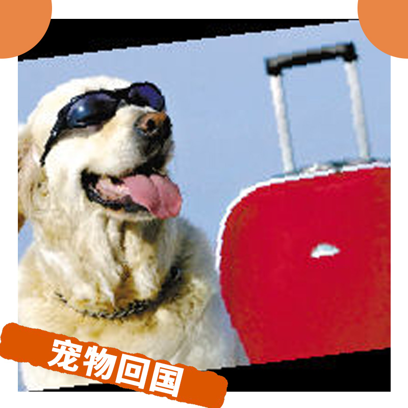 澳大利亞圖片/澳大利亞樣板圖 (4)