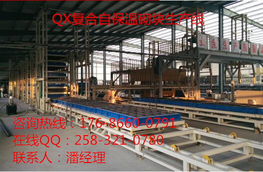 保溫砌塊生產(chǎn)線圖片/保溫砌塊生產(chǎn)線樣板圖 (2)