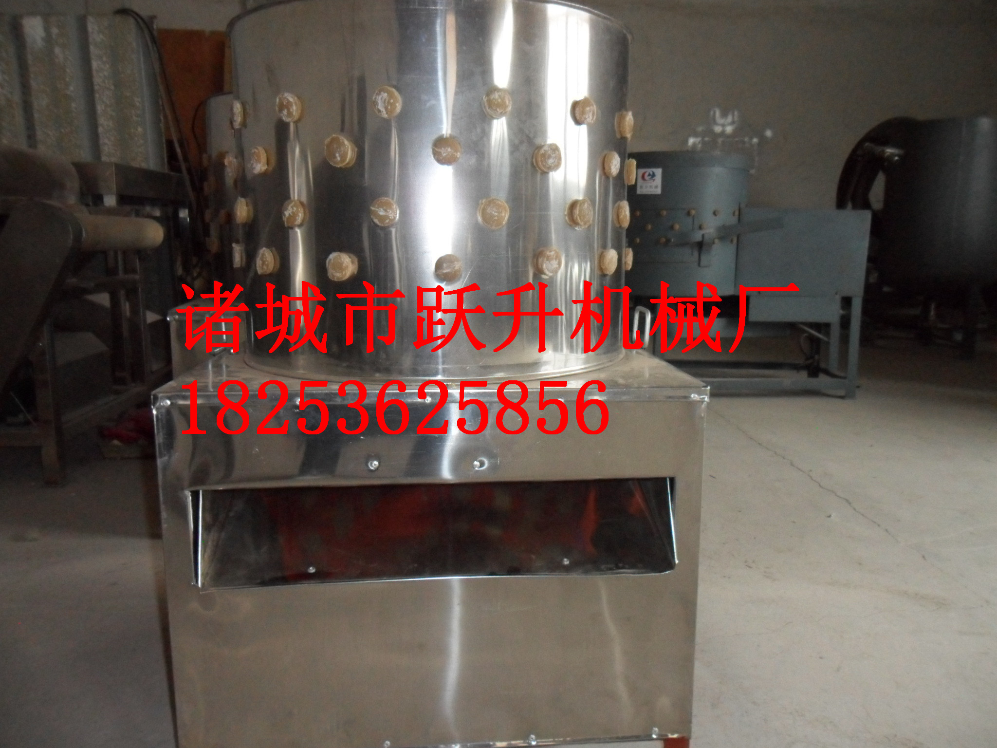 雞脫毛機(jī)專業(yè)快速圖片/雞脫毛機(jī)專業(yè)快速樣板圖 (4)