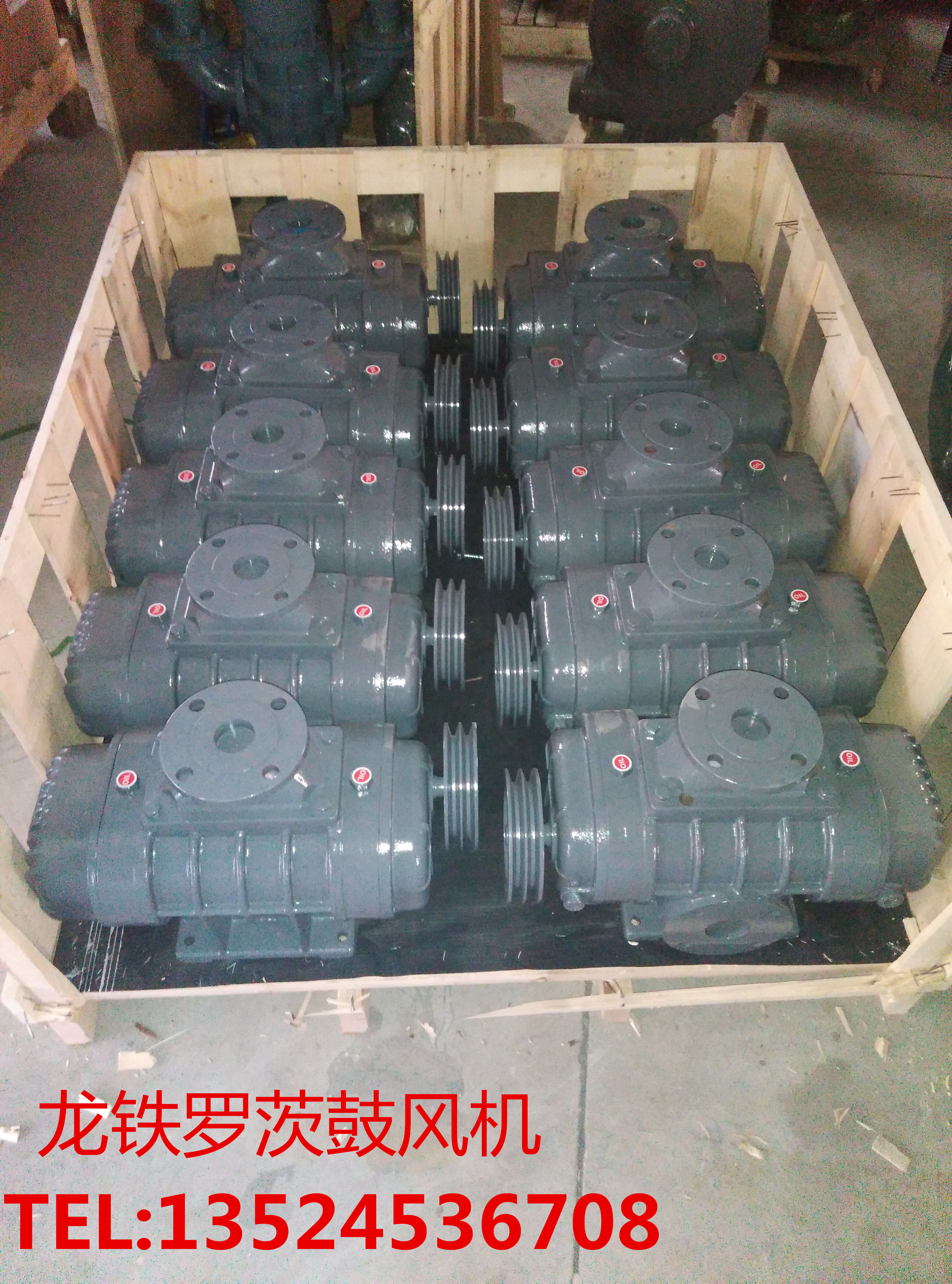 羅茨真空泵圖片/羅茨真空泵樣板圖 (4)