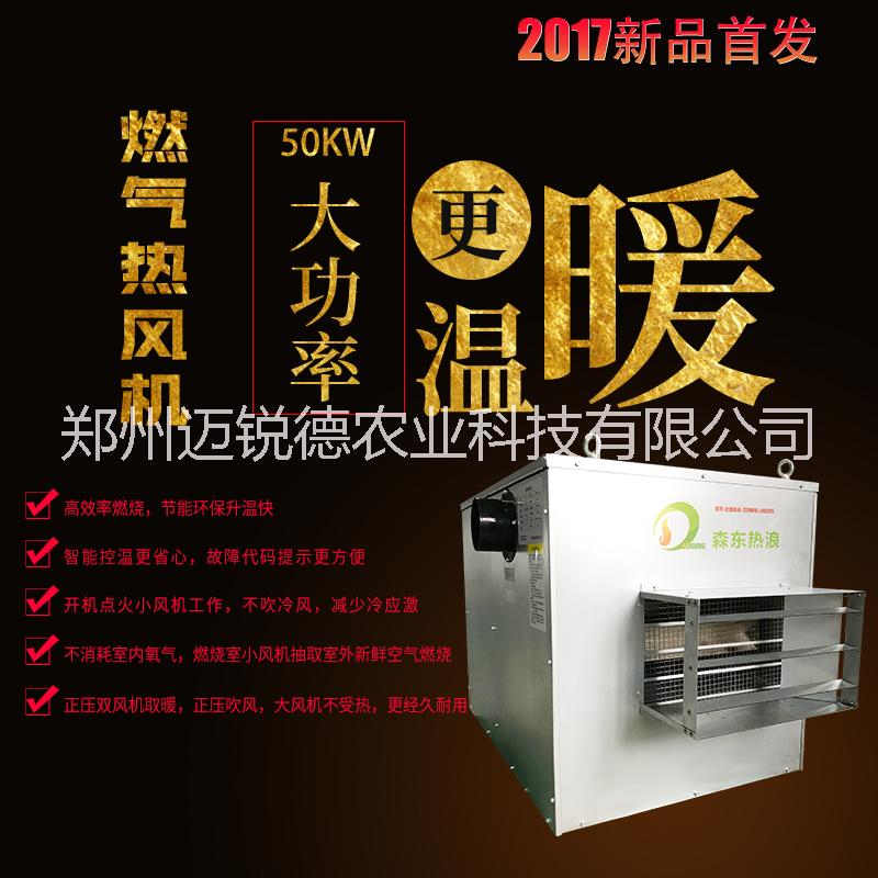 郑州市迈锐德森东燃气热风机50KW厂家