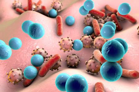 環(huán)境實(shí)驗(yàn)工程圖片/環(huán)境實(shí)驗(yàn)工程樣板圖 (3)