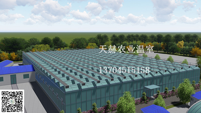 PC陽光板-玻璃溫室大棚