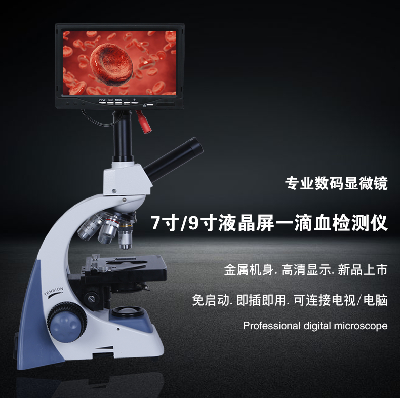 生物顯微鏡圖片/生物顯微鏡樣板圖 (1)